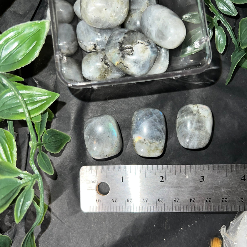 Labradorite Tumbles