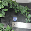 Sodalite Heart Carving