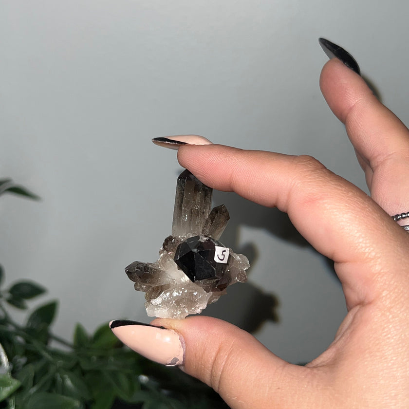 Medium Smoky Quartz Raw Clusters