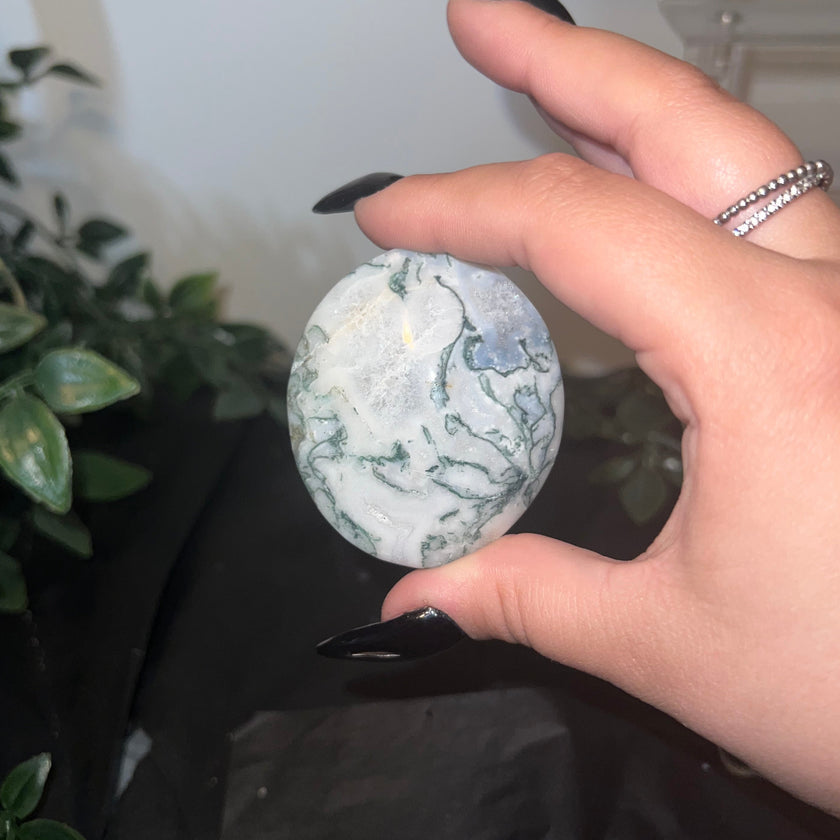 Moss Agate Palm Stone