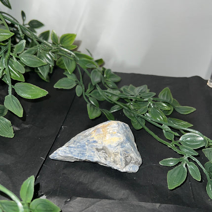 Blue Kyanite Raw Specimen