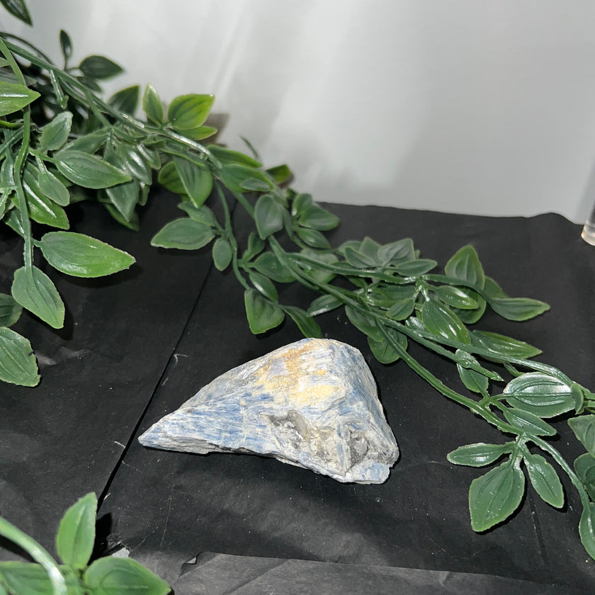 Blue Kyanite Raw Specimen