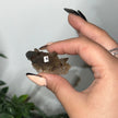 Medium Smoky Quartz Raw Clusters