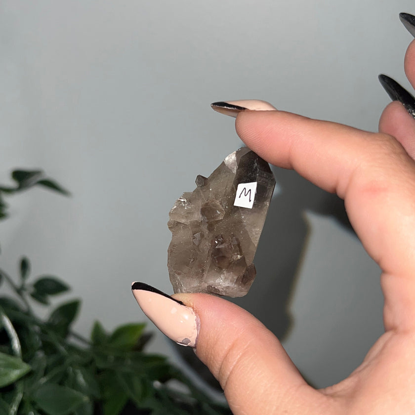 Medium Smoky Quartz Raw Clusters
