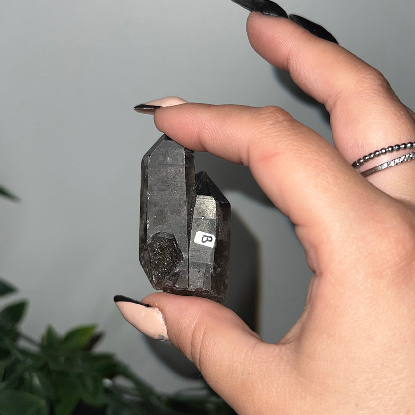 Medium Smoky Quartz Raw Clusters