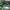 Malachite Slab