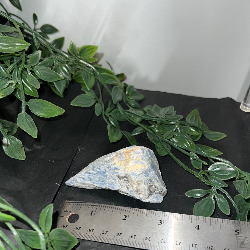 Blue Kyanite Raw Specimen