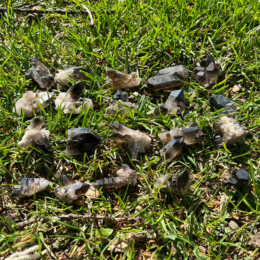 Small Smoky Quartz Raw Clusters