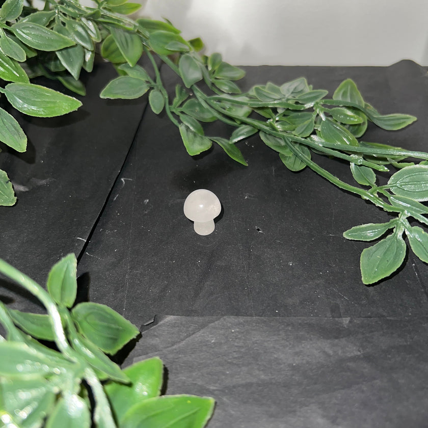 Clear Quartz Mushroom Carving