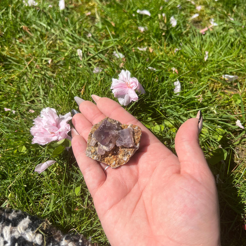 Raw Purple Fluorite Cluster