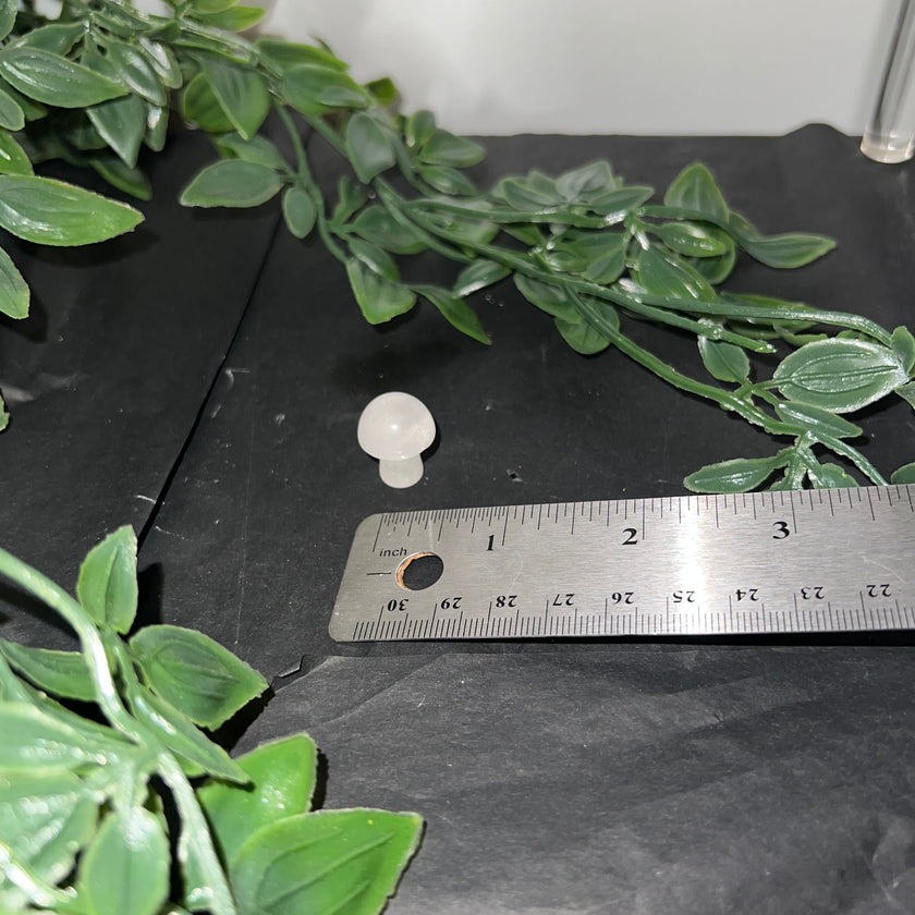Clear Quartz Mushroom Carving