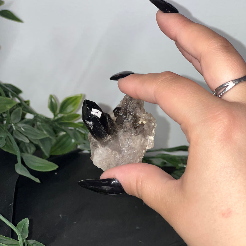 Medium Smoky Quartz Raw Clusters