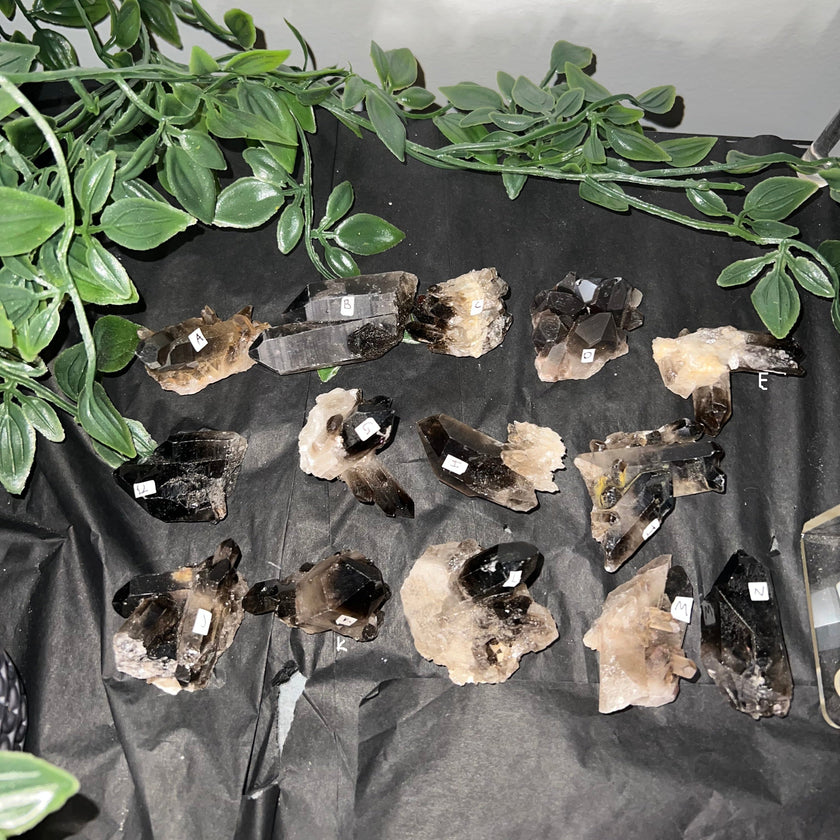 Medium Smoky Quartz Raw Clusters