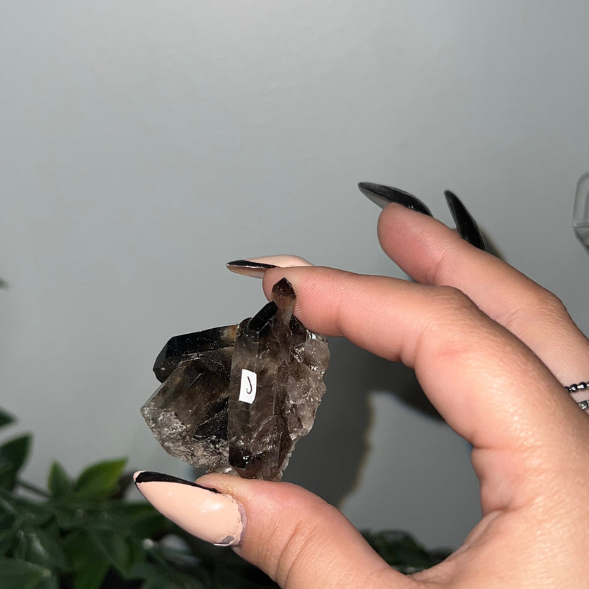 Medium Smoky Quartz Raw Clusters