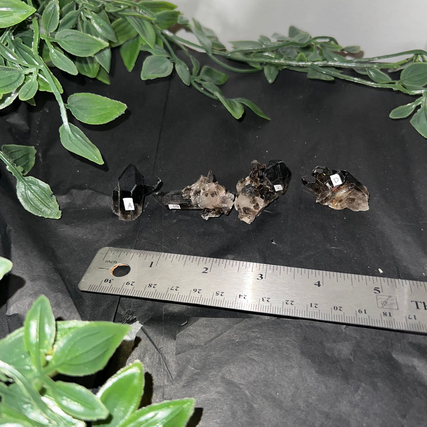 Small Smoky Quartz Raw Clusters