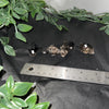 Small Smoky Quartz Raw Clusters