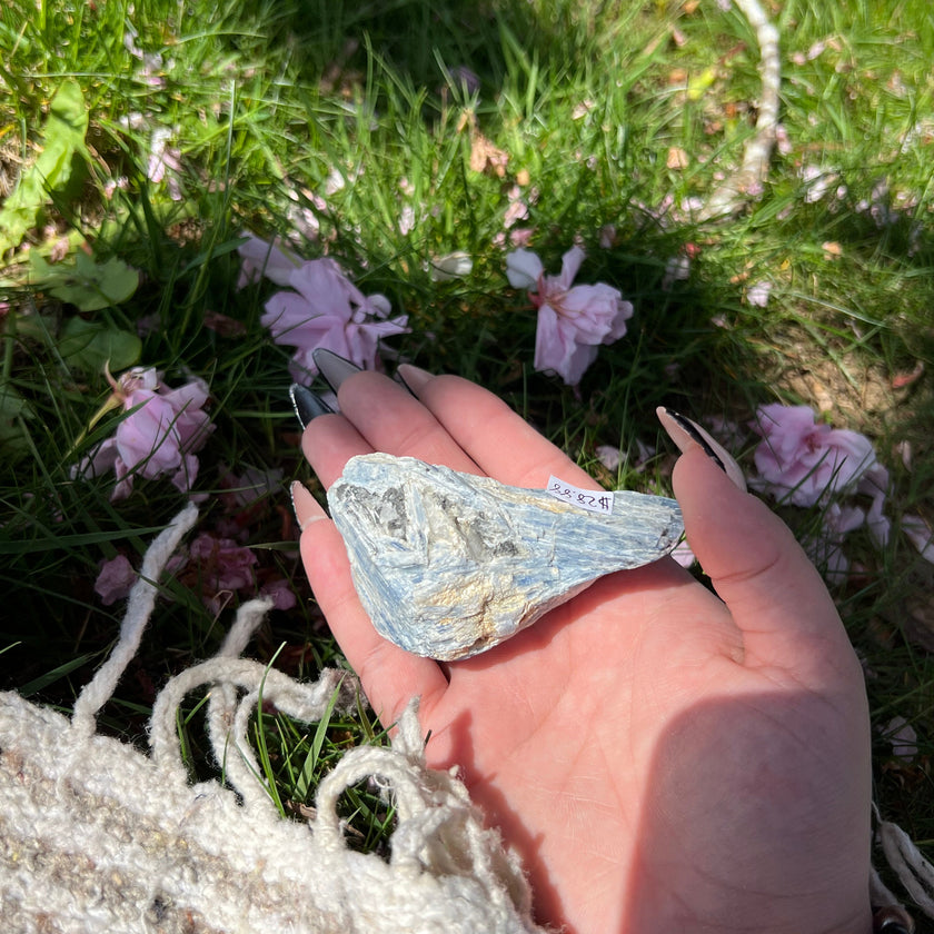 Blue Kyanite Raw Specimen