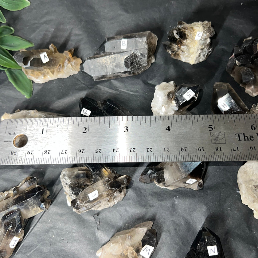 Medium Smoky Quartz Raw Clusters