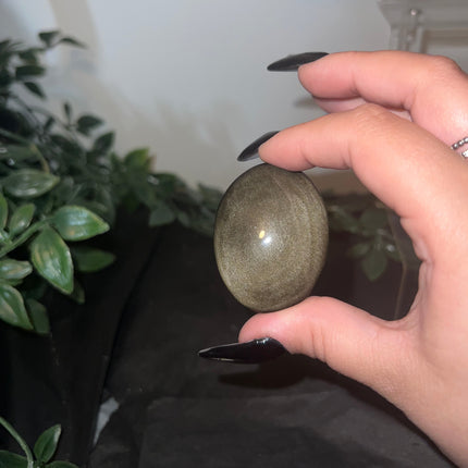 Gold Sheen Obsidan