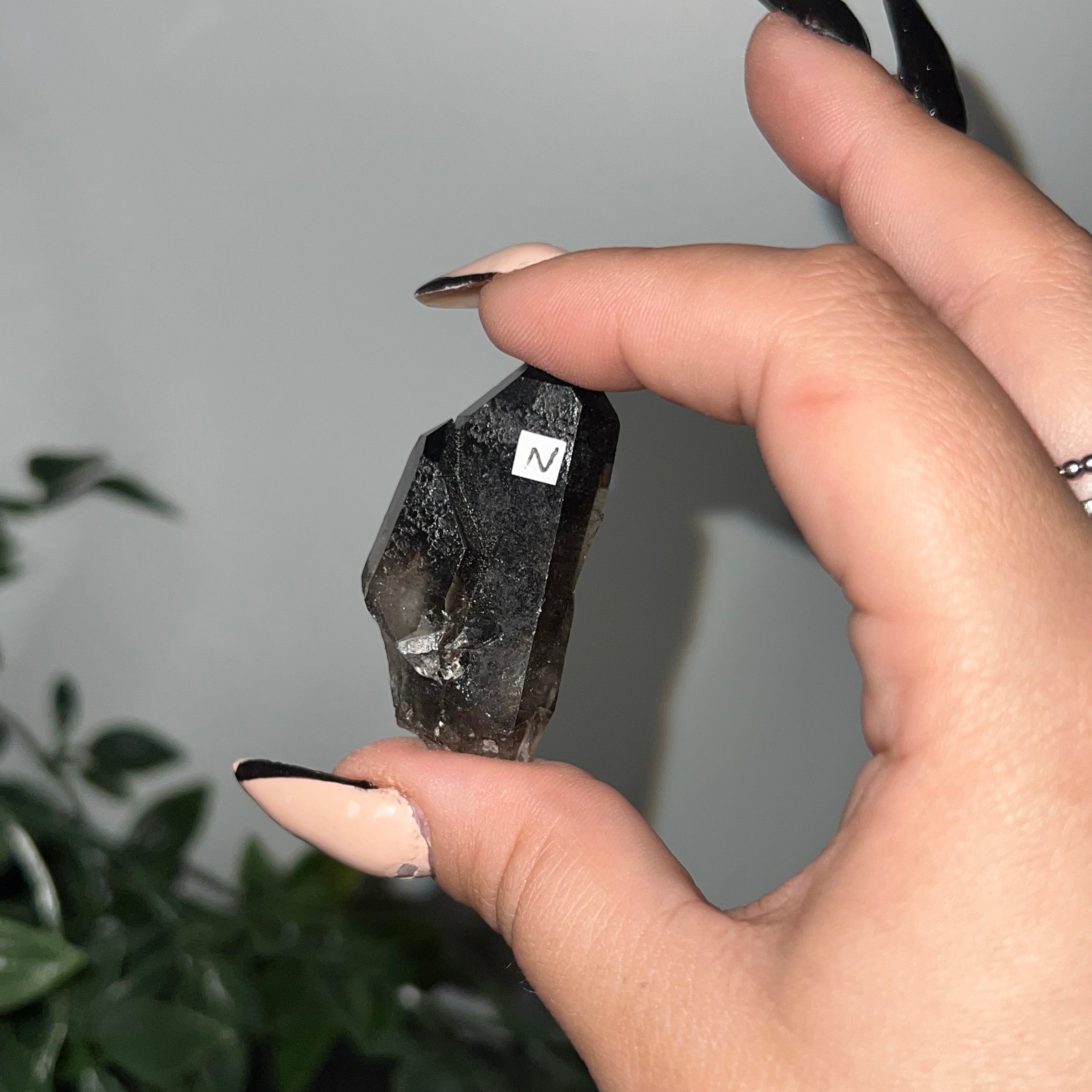 Medium Smoky Quartz Raw Clusters