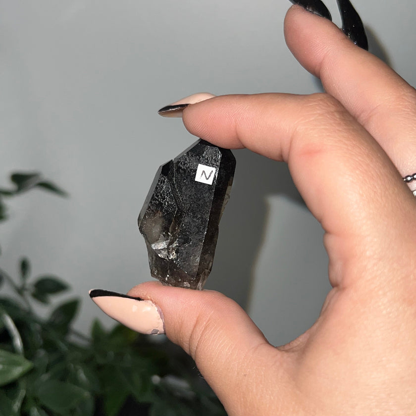 Medium Smoky Quartz Raw Clusters