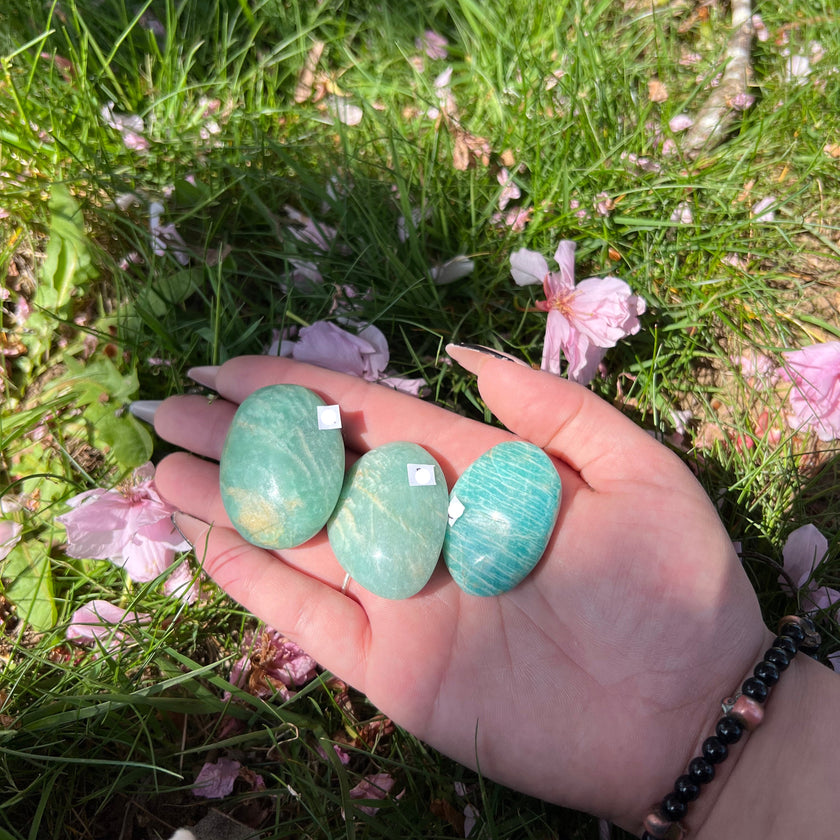 Amazonite Mini Palm Stones