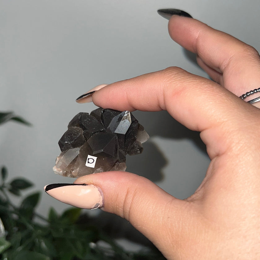 Medium Smoky Quartz Raw Clusters
