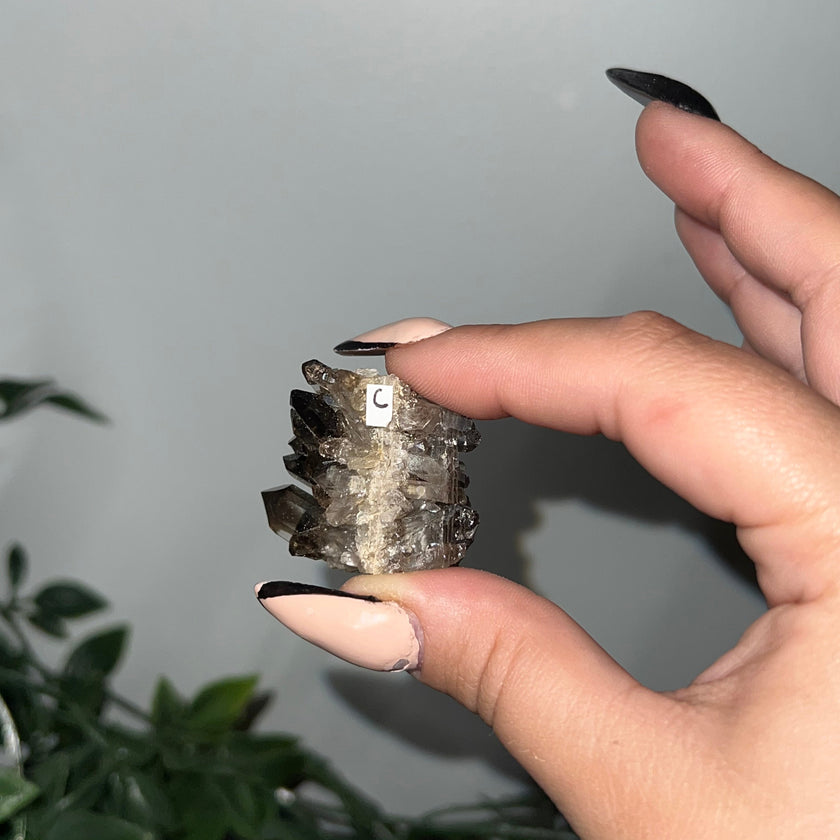 Medium Smoky Quartz Raw Clusters