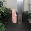 Rose Quartz Towers