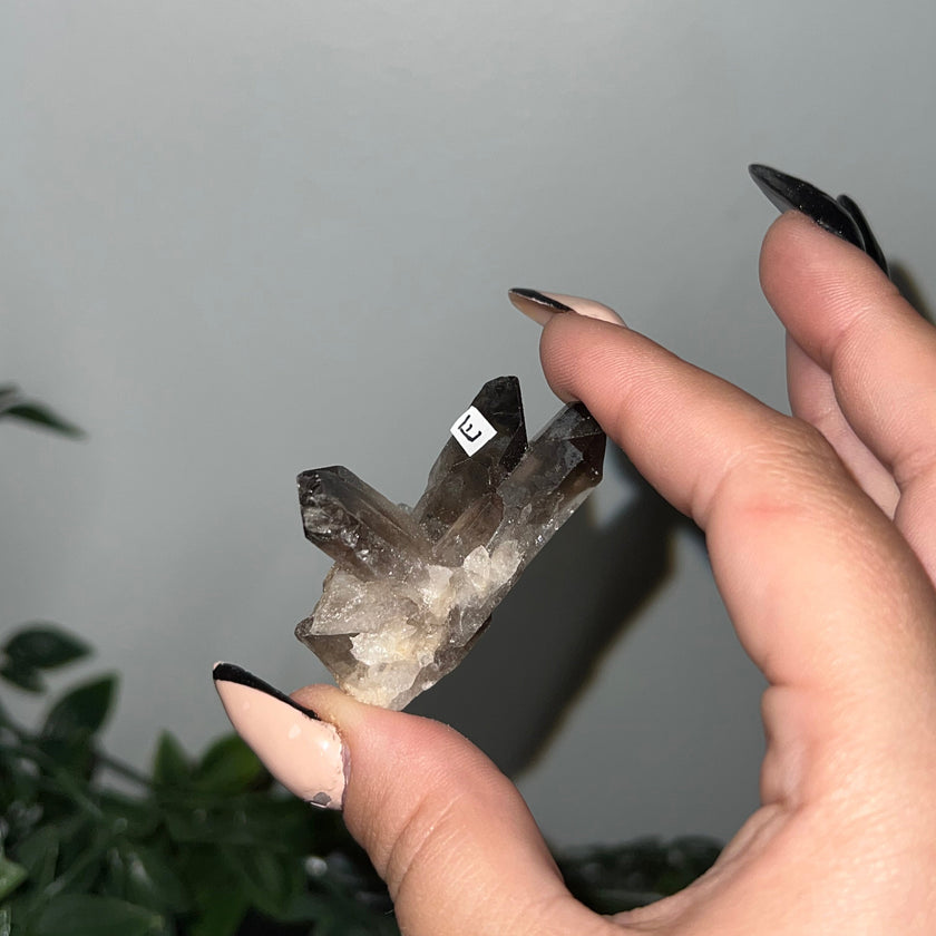 Medium Smoky Quartz Raw Clusters
