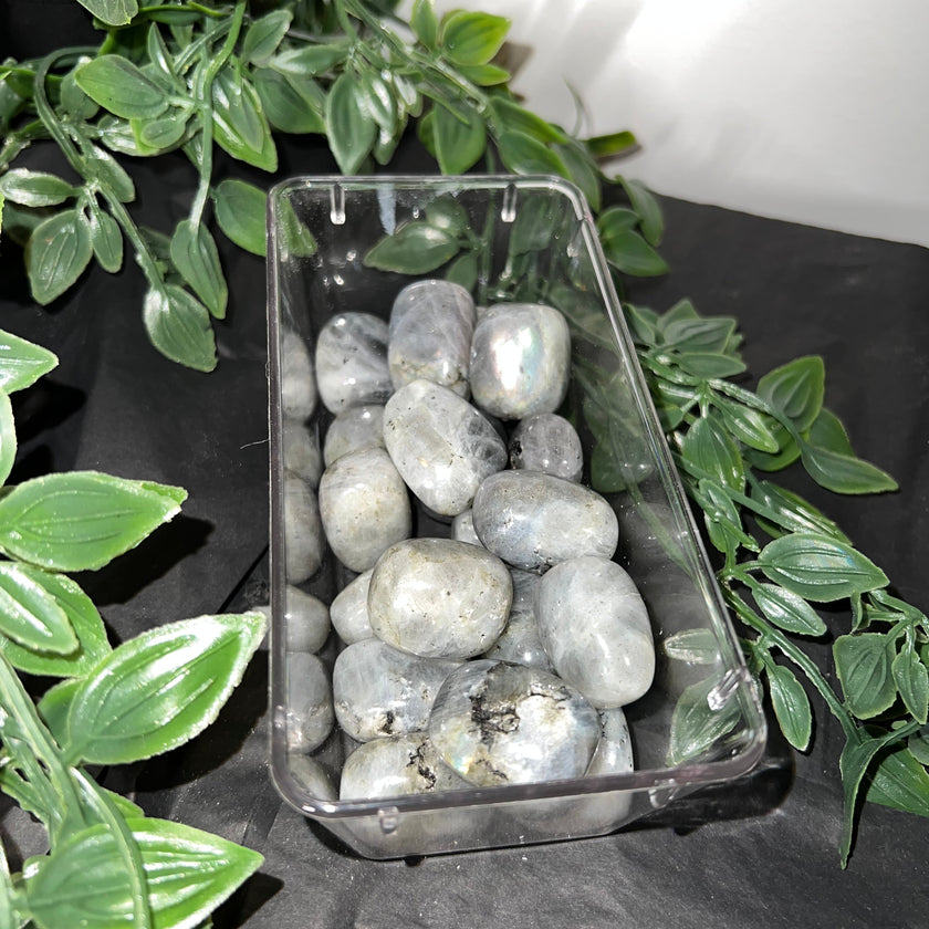 Labradorite Tumbles