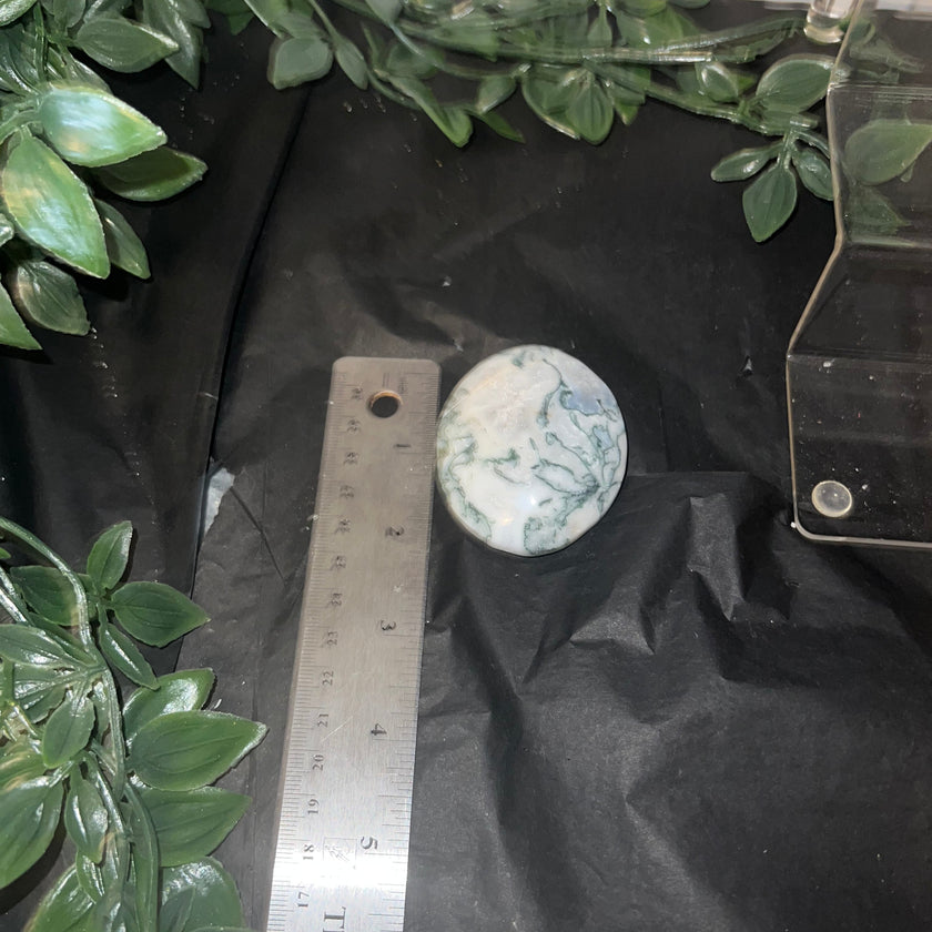 Moss Agate Palm Stone