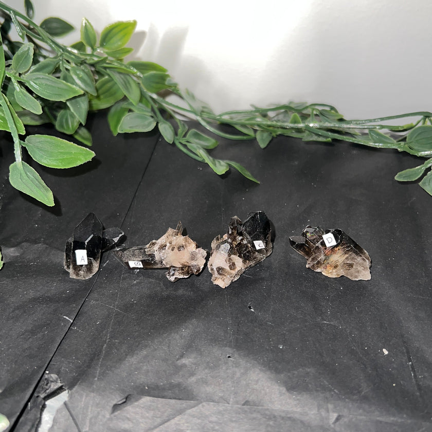 Small Smoky Quartz Raw Clusters