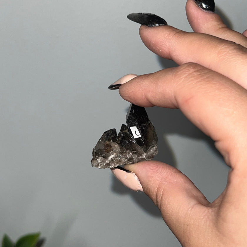 Small Smoky Quartz Raw Clusters
