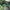Malachite Slab