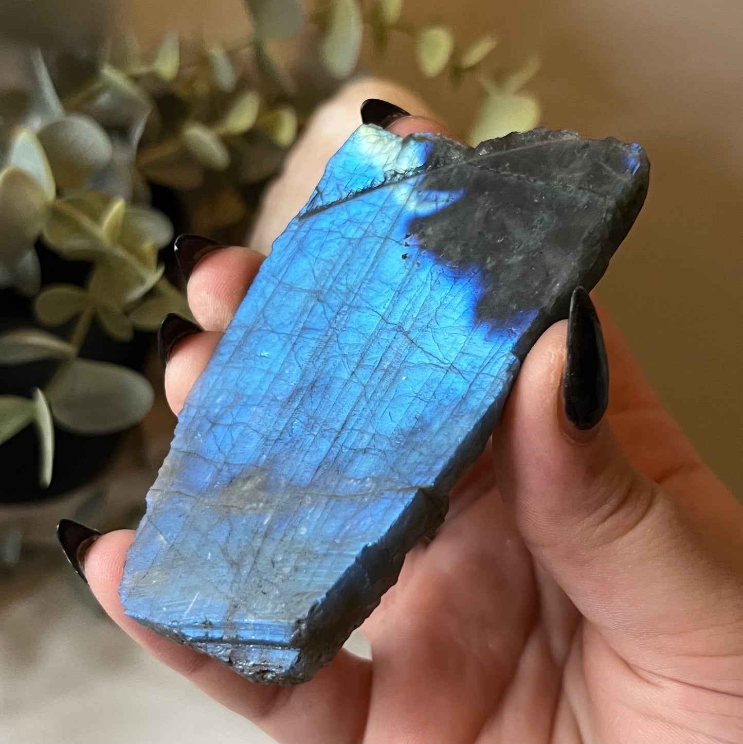 Labradorite Slab