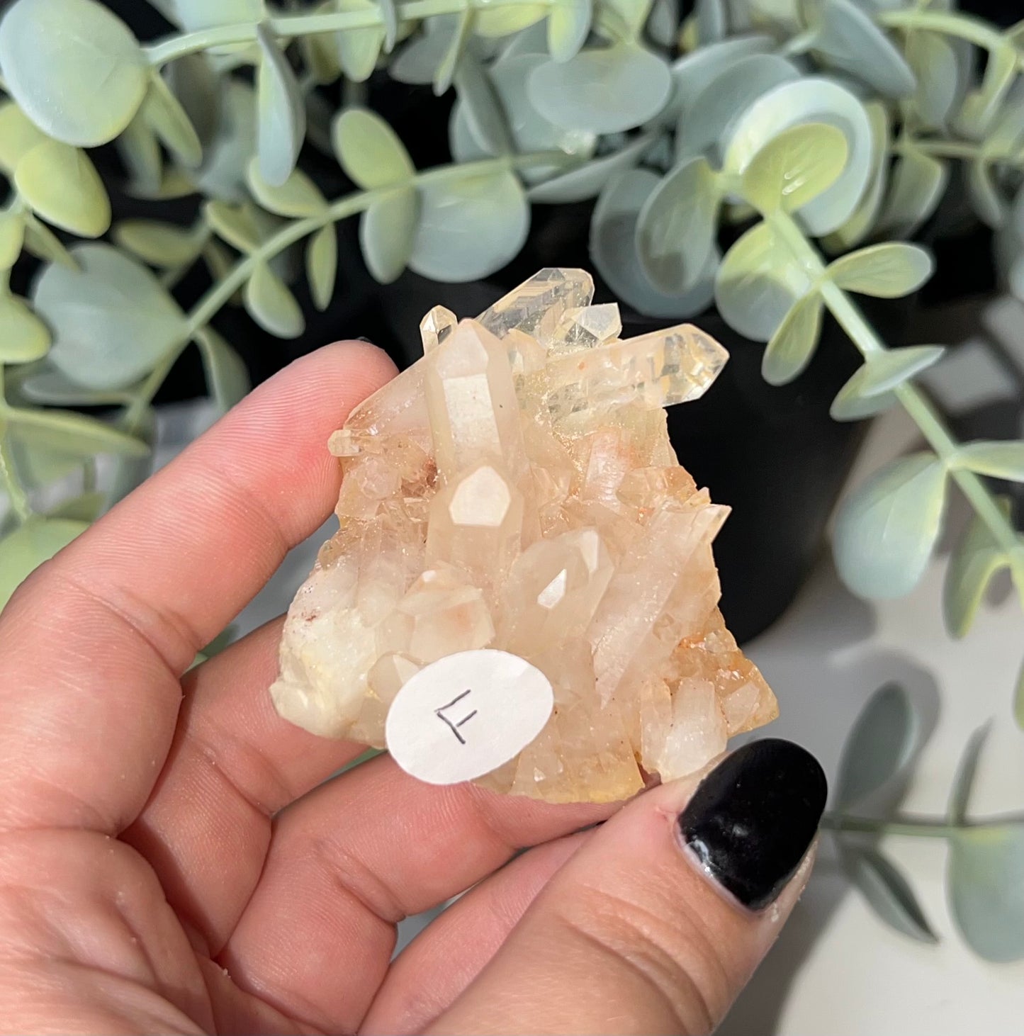 Clear Quartz Cluster F