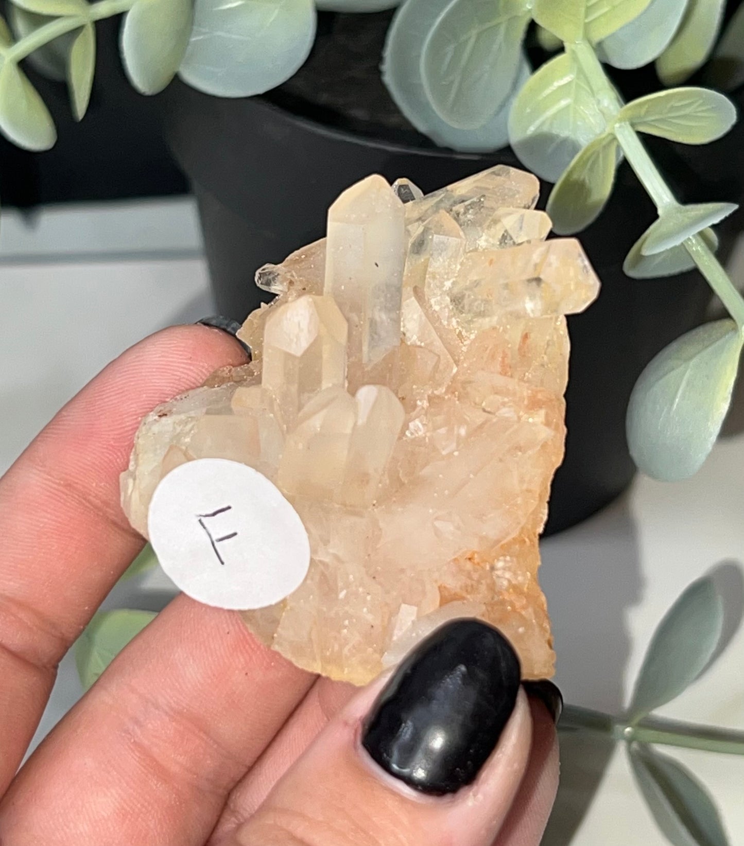 Clear Quartz Cluster F