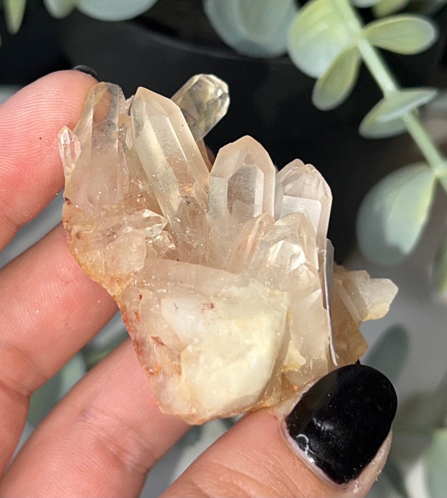 Clear Quartz Cluster F