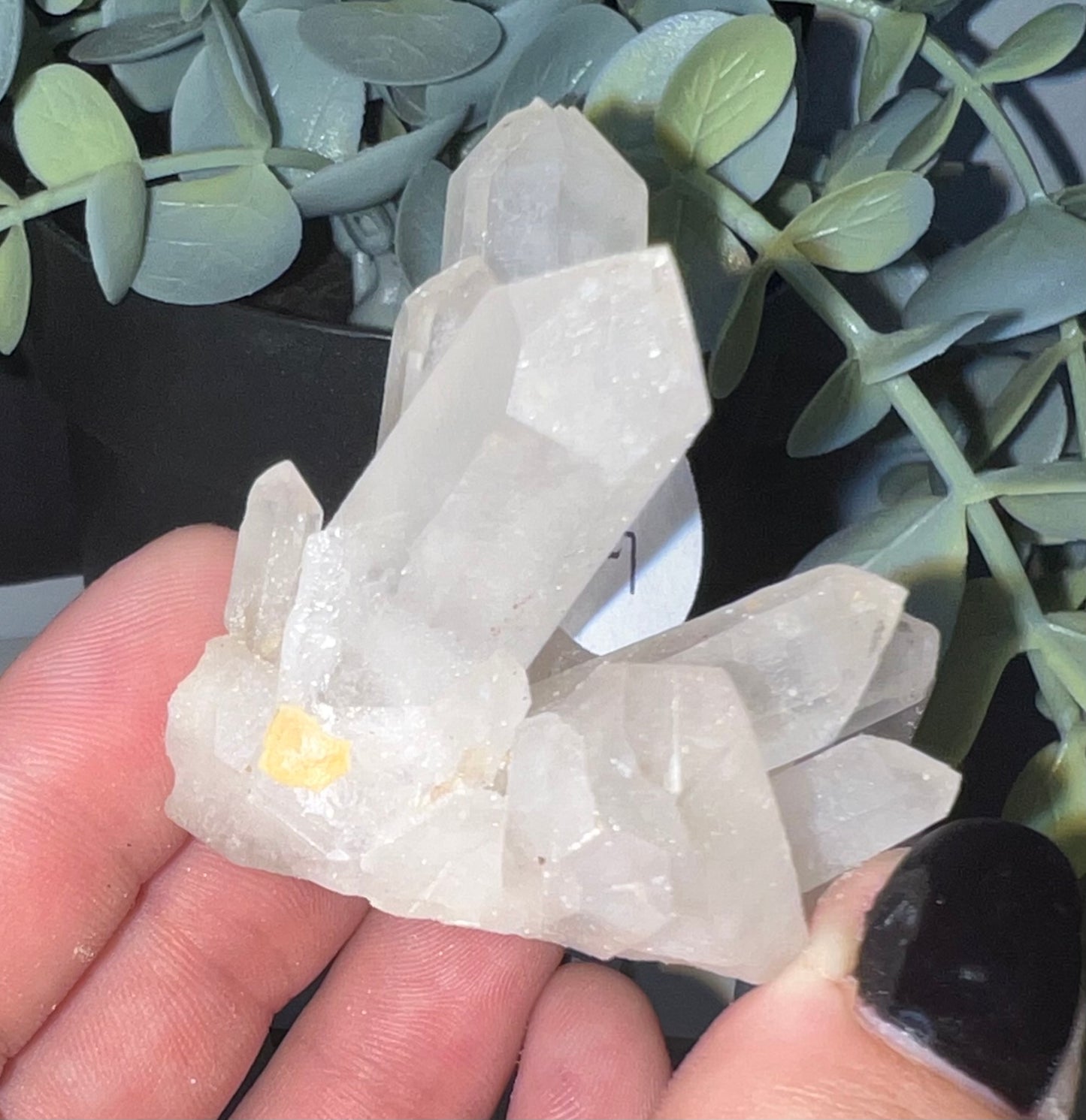 Clear Quartz Cluster G