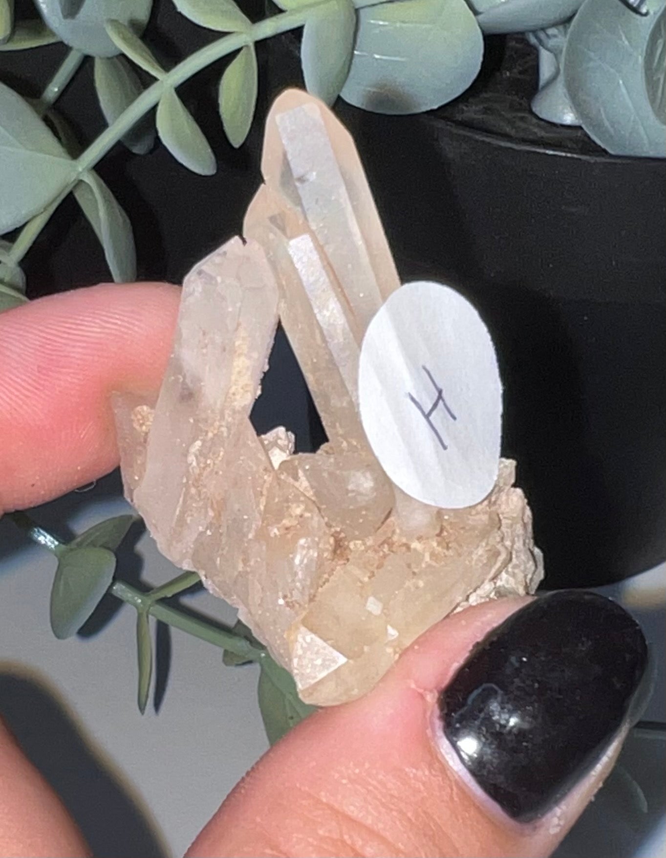 Clear Quartz Cluster H