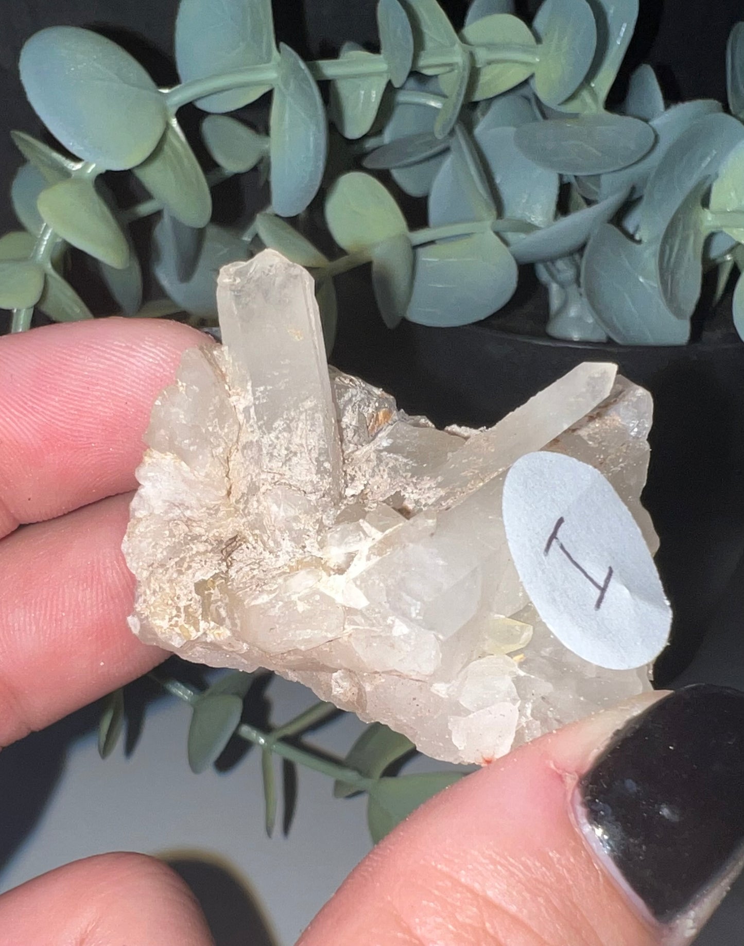 Clear Quartz Cluster I