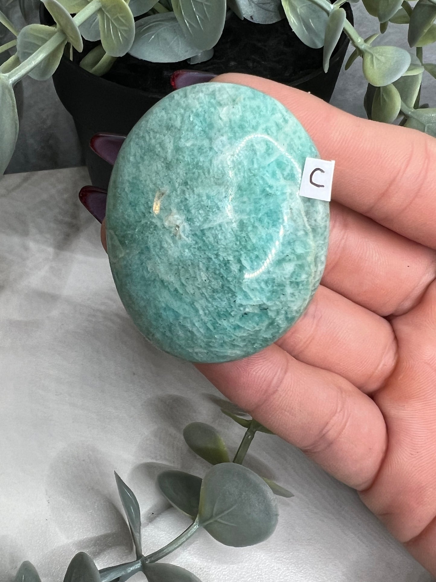 Amazonite Palm Stone